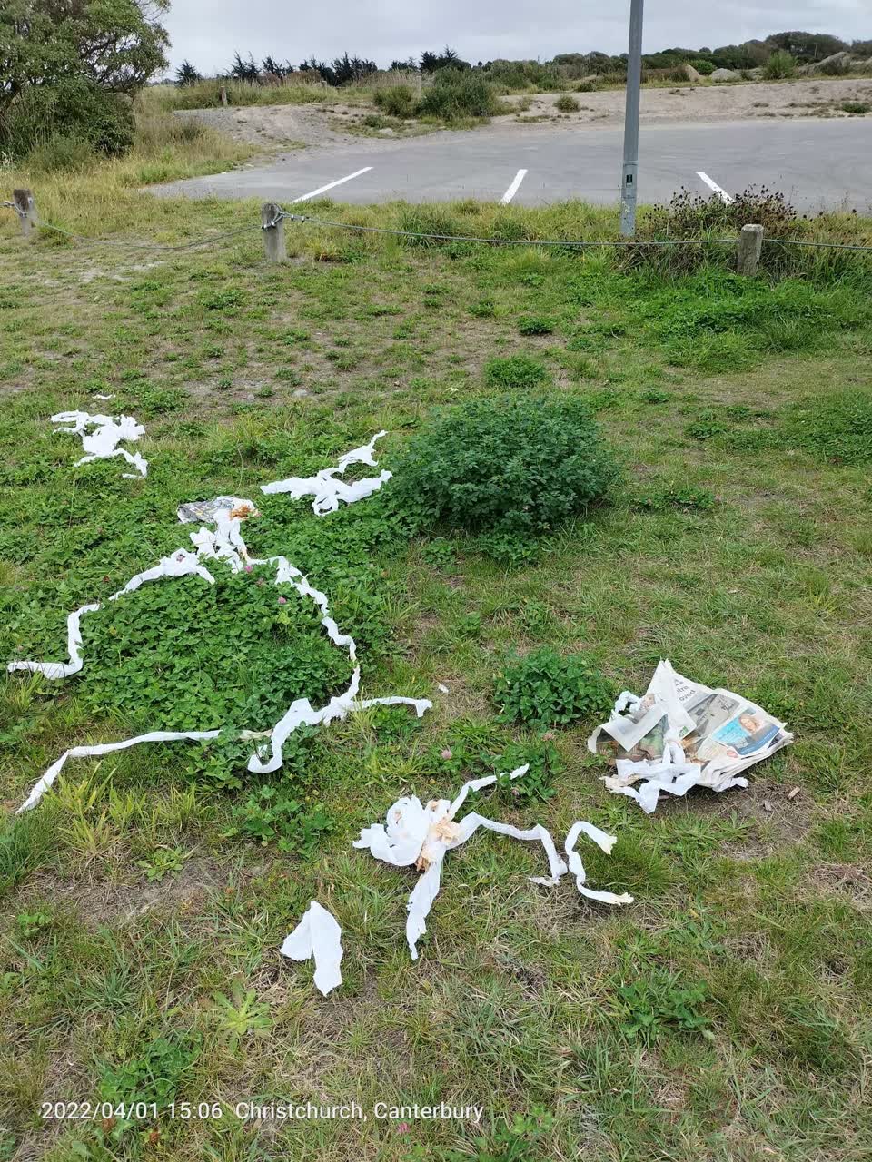 The photograph attached to this parks report