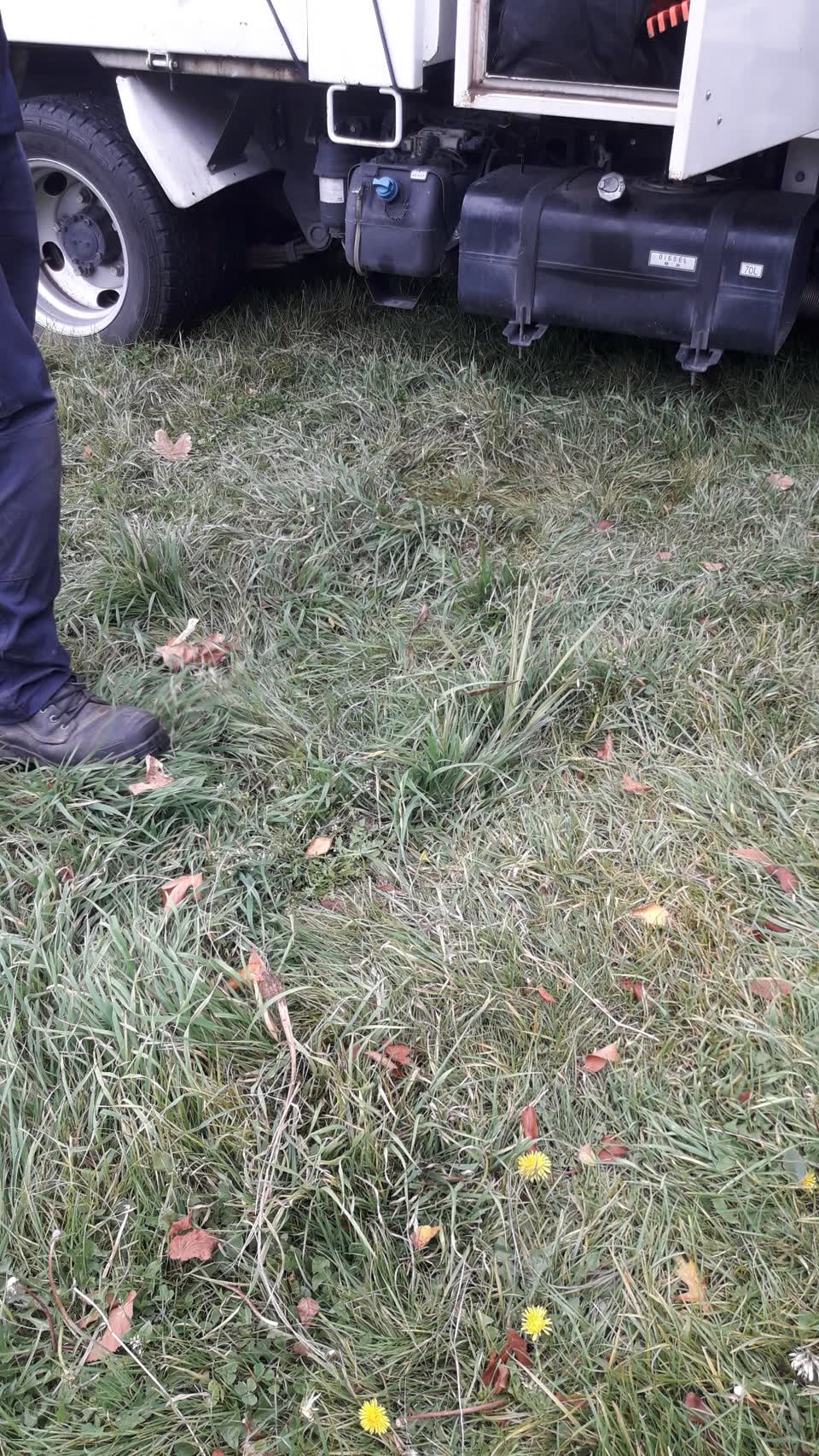 The photograph attached to this parks report