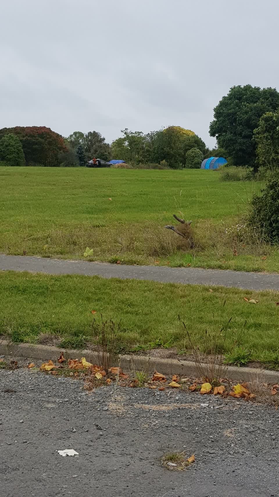 The photograph attached to this parks report