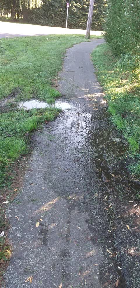 Water Leak, a report photo