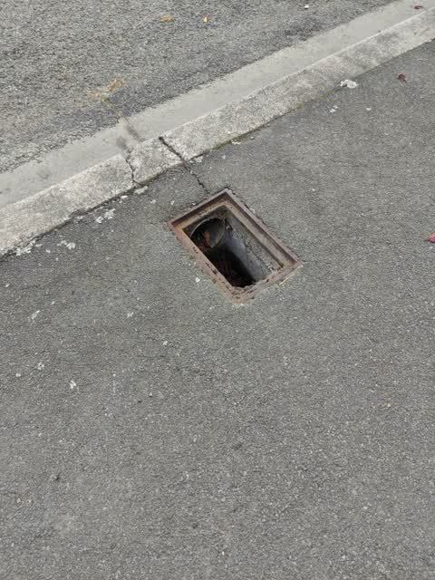 Roading/Streets, a report photo