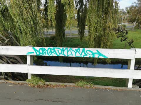 Graffiti, a report photo