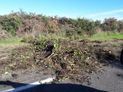 Rubbish/Recycling, a report photo