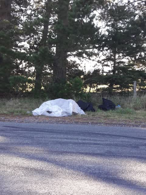 Rubbish/Recycling, a report photo