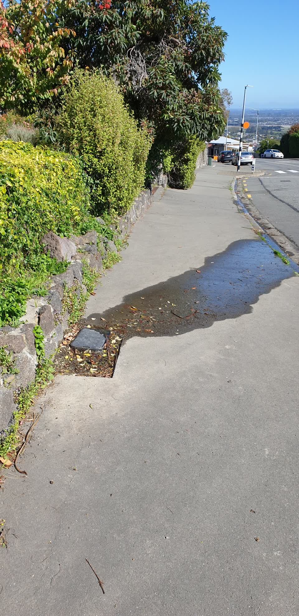 The photograph attached to this water leak report