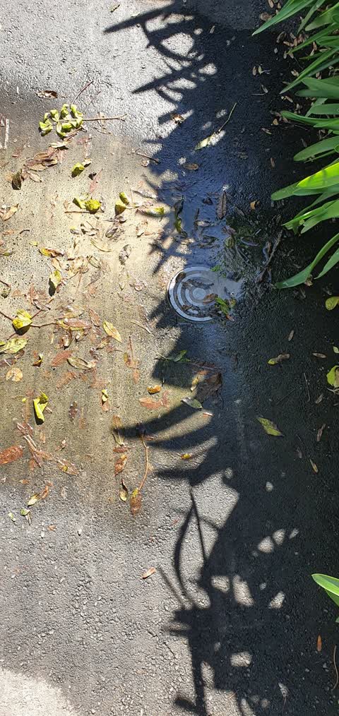Water Leak, a report photo
