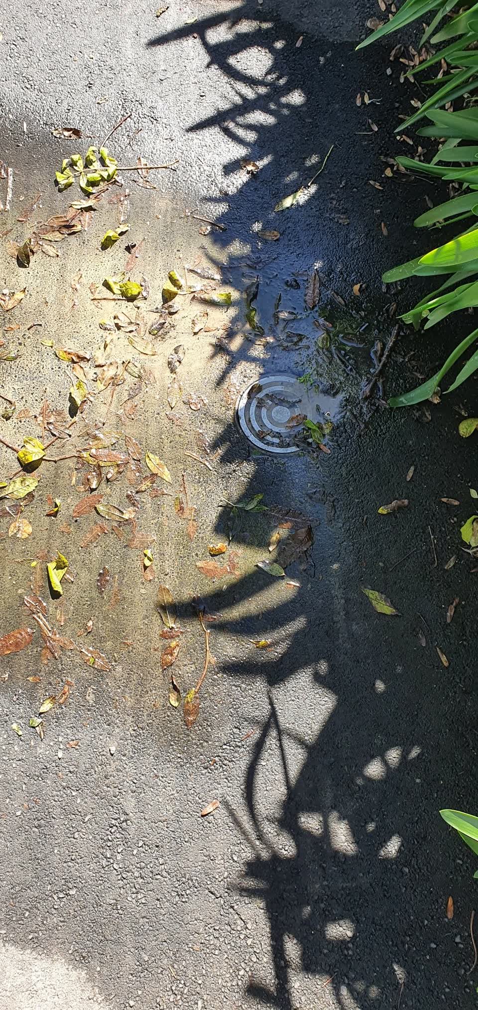 The photograph attached to this water leak report