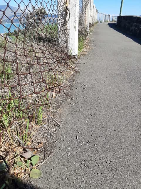 Roading/Streets, a report photo