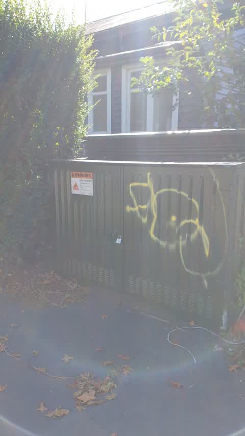 Graffiti, a report photo