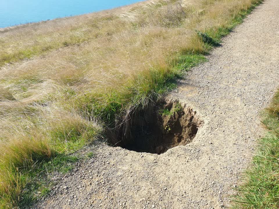 The photograph attached to this parks report