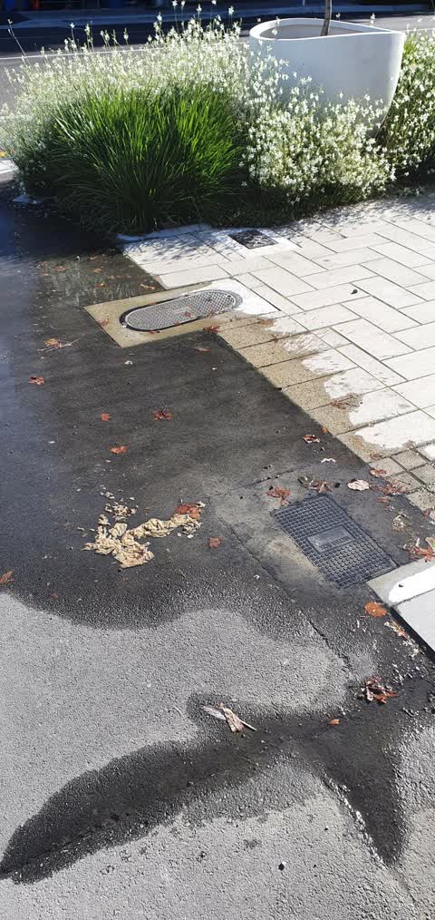 Water Leak, a report photo