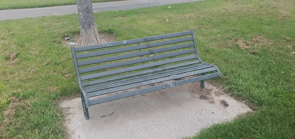 The photograph attached to this parks report