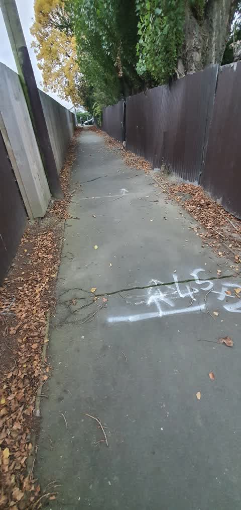 Roading/Streets, a report photo