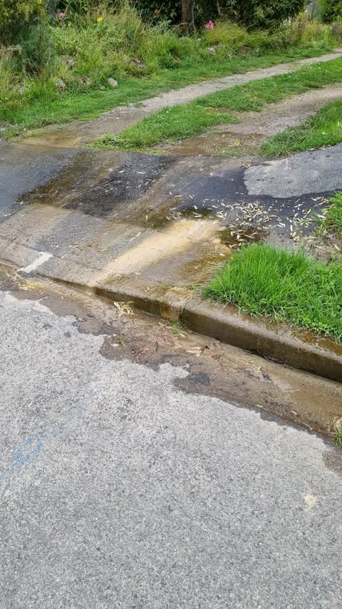 Water Leak, a report photo