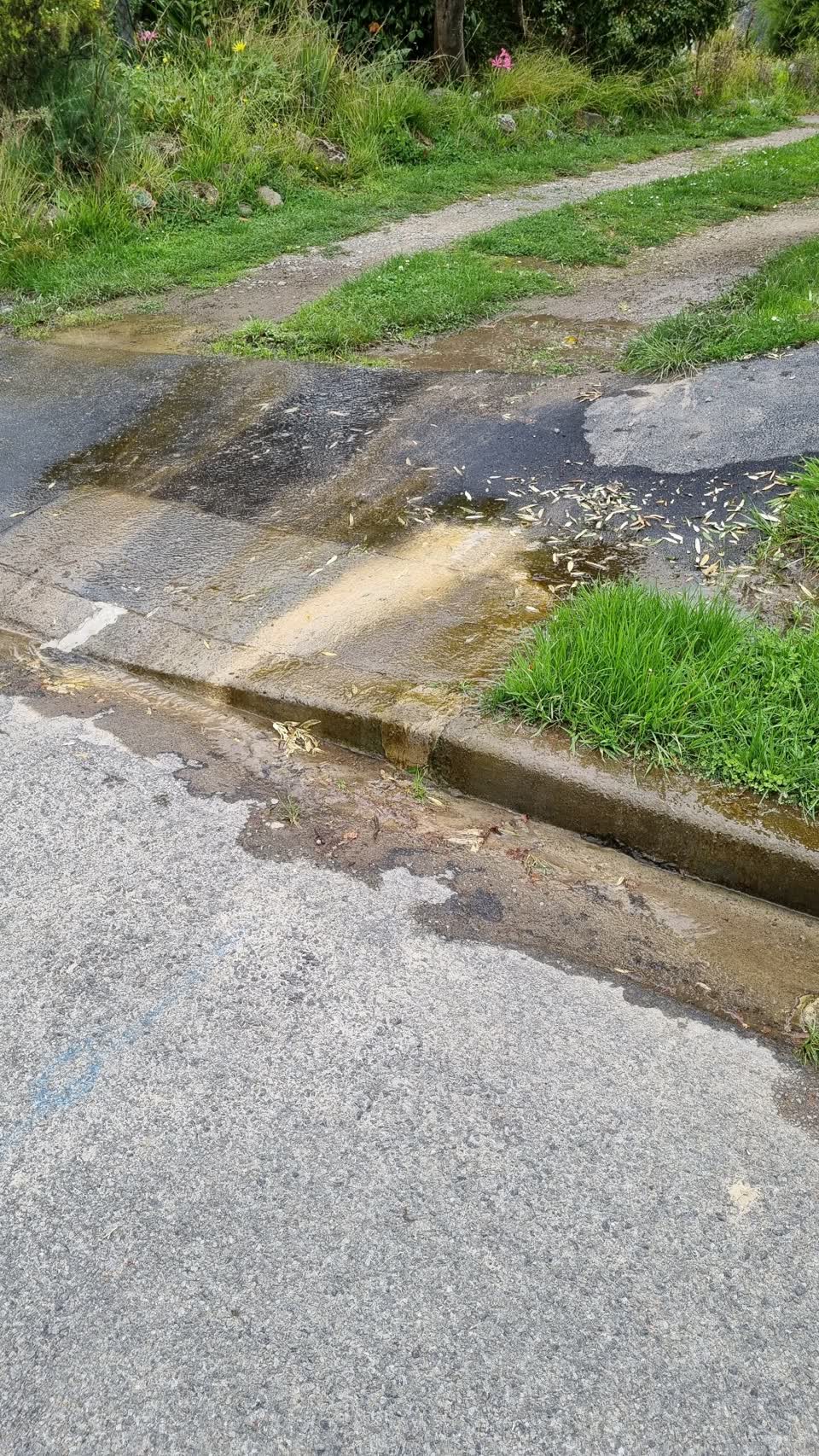 The photograph attached to this water leak report