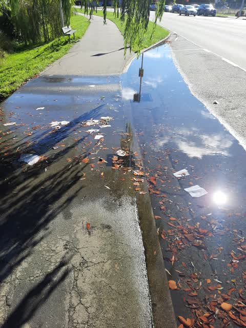 Water Leak, a report photo