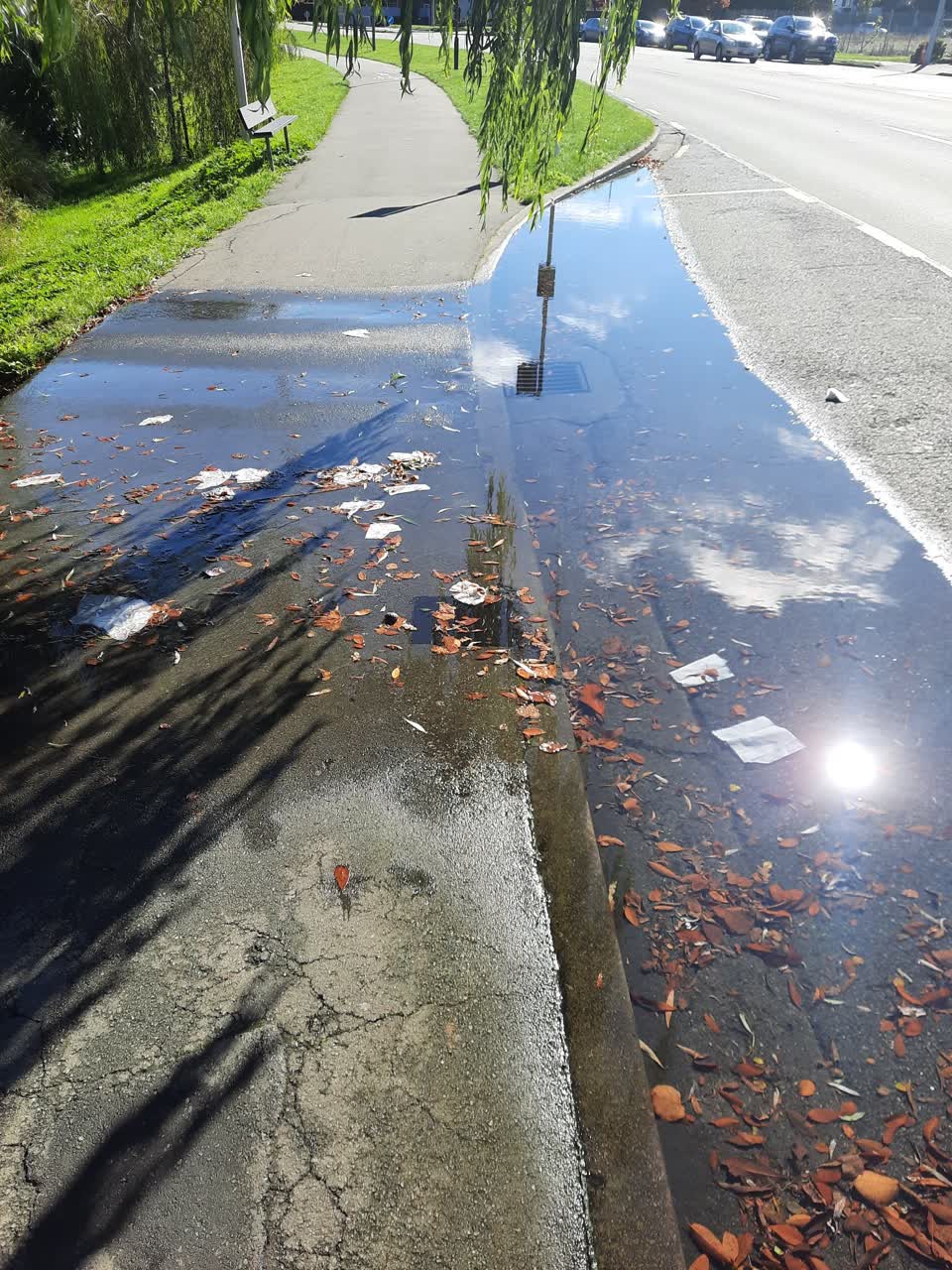 The photograph attached to this water leak report