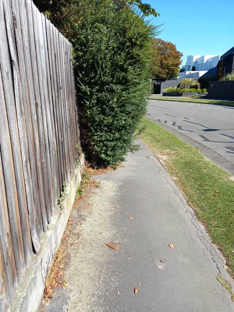 Roading/Streets — a report photo