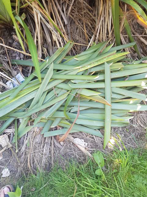Rubbish/Recycling — a report photo
