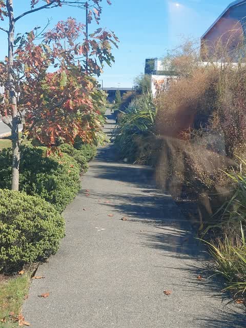 Roading/Streets, a report photo