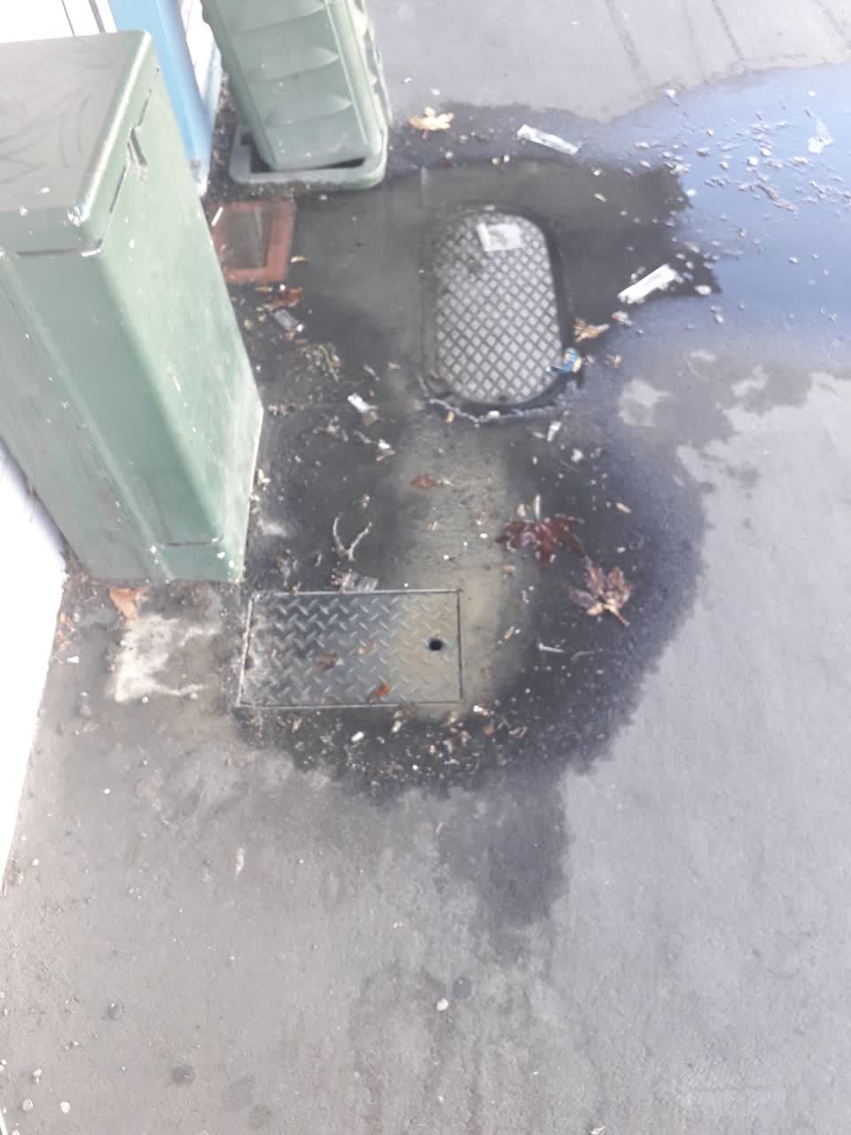 The photograph attached to this water leak report
