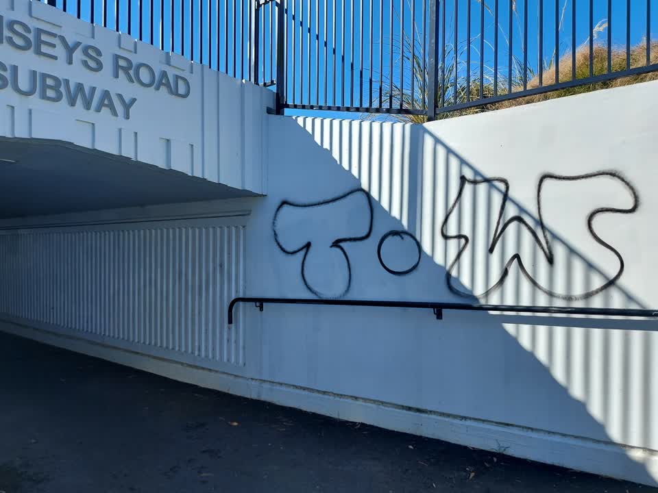The photograph attached to this graffiti report
