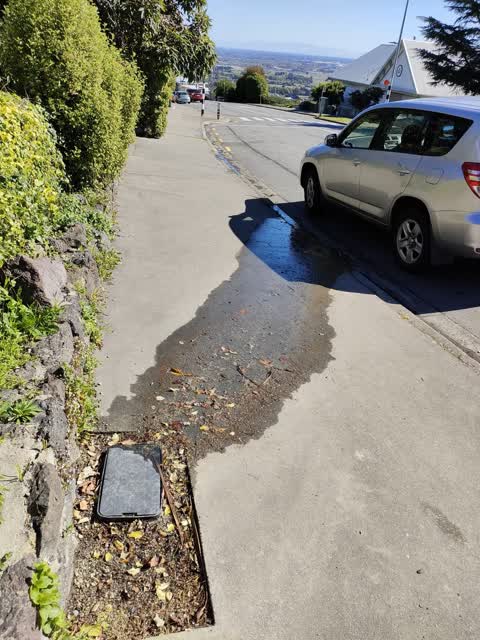 Water Leak, a report photo