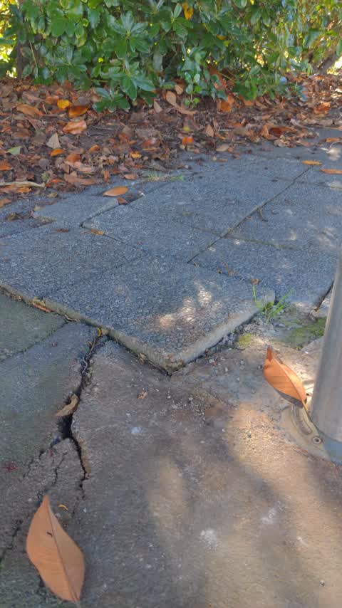 Roading/Streets, a report photo