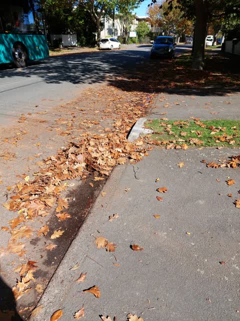Roading/Streets — a report photo