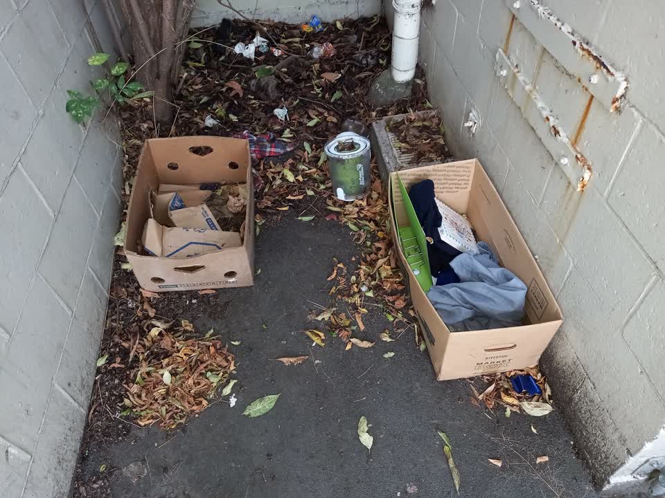 The photograph attached to this rubbish/recycling report
