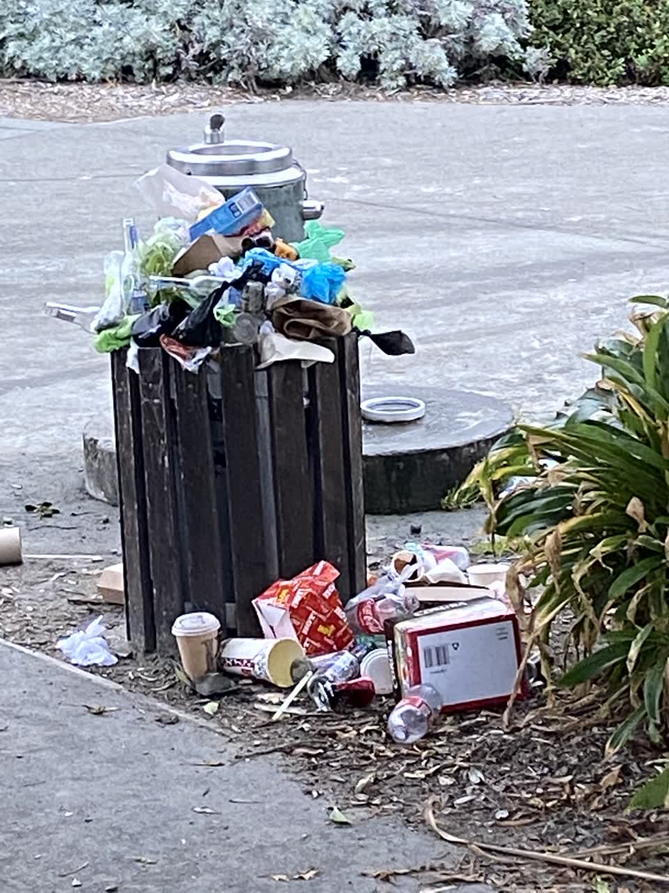 The photograph attached to this rubbish/recycling report