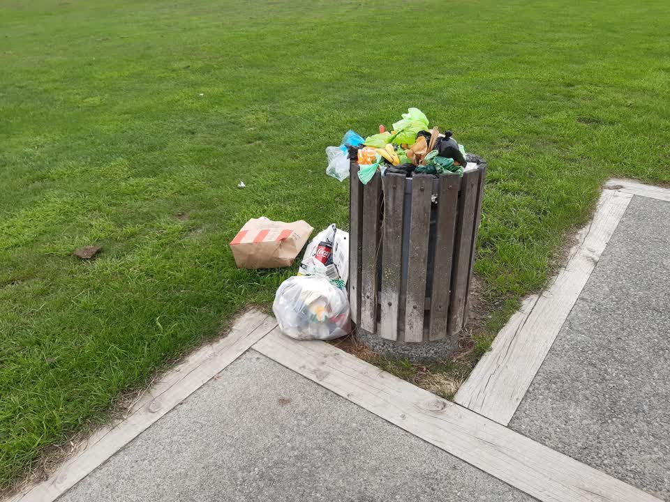 The photograph attached to this rubbish/recycling report