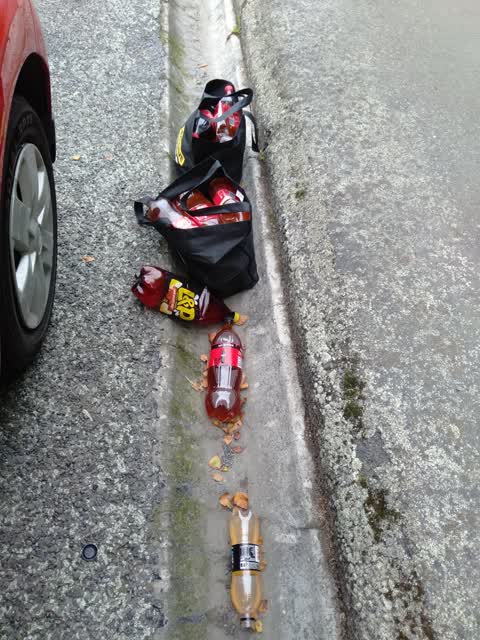 Rubbish/Recycling, a report photo