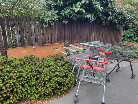 Rubbish/Recycling, a report photo