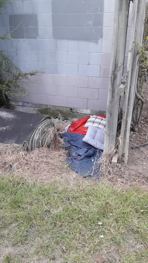 Rubbish/Recycling — a report photo