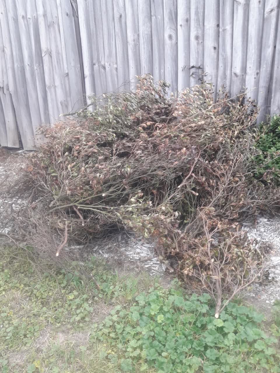 The photograph attached to this parks report