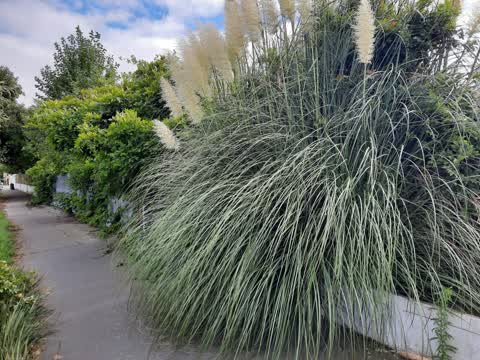Roading/Streets — a report photo