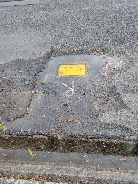 Water Leak, a report photo