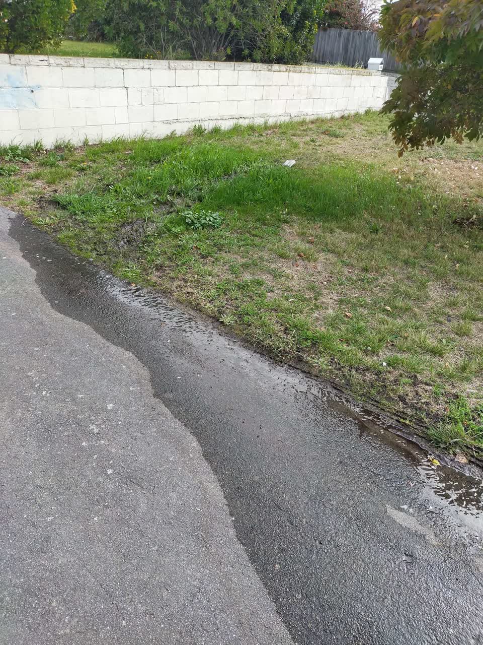 The photograph attached to this water leak report