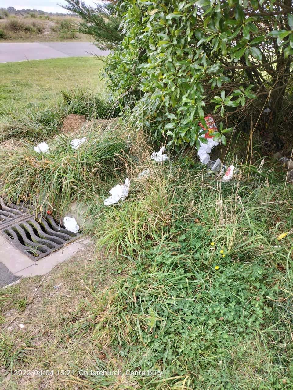 The photograph attached to this parks report
