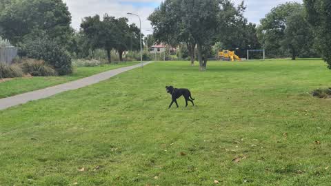 Parks — a report photo