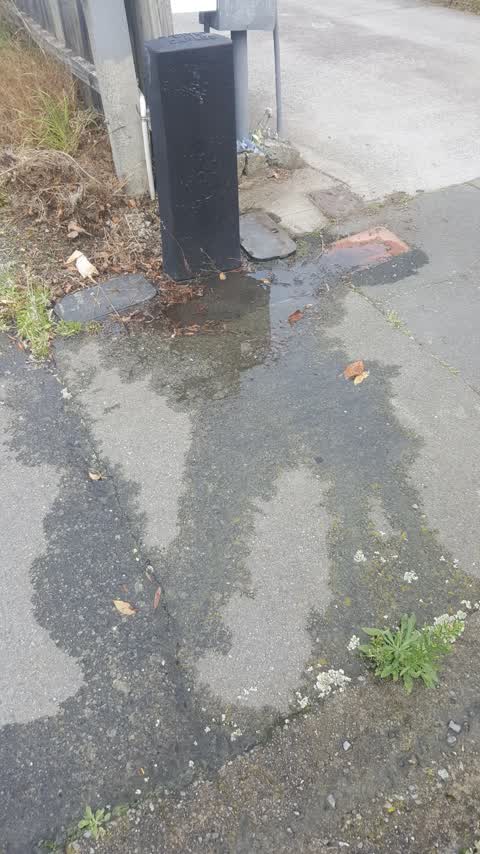 Water Leak, a report photo