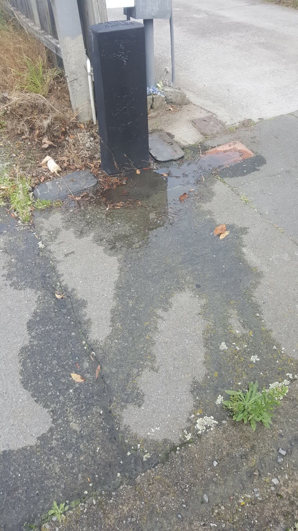 The photograph attached to this water leak report