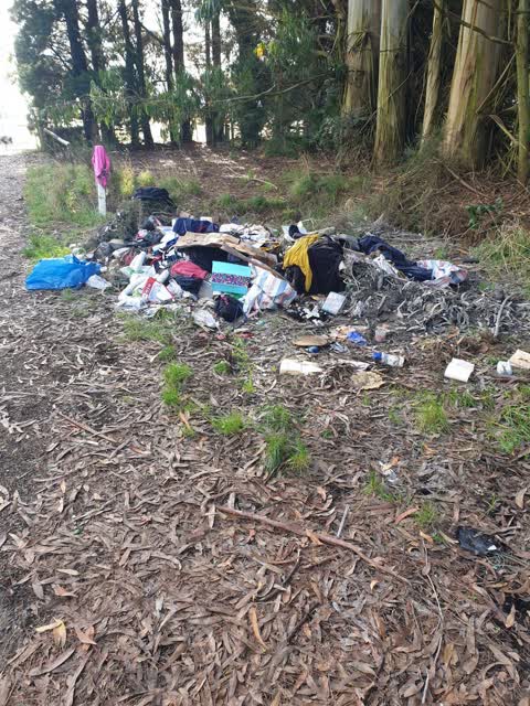 Rubbish/Recycling, a report photo