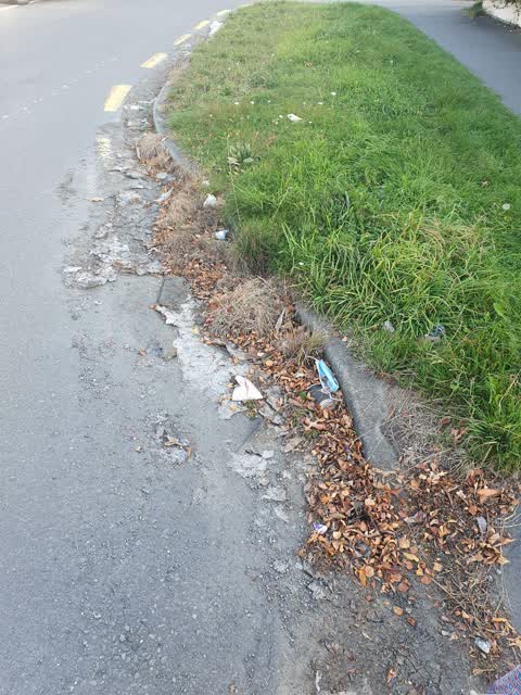 Roading/Streets, a report photo