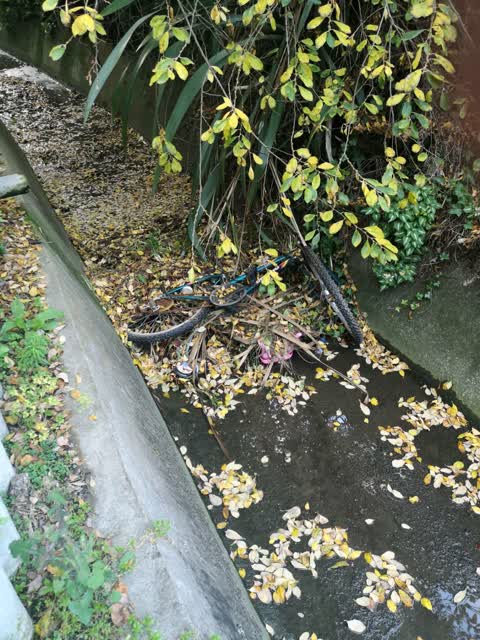Wastewater/Stormwater, a report photo