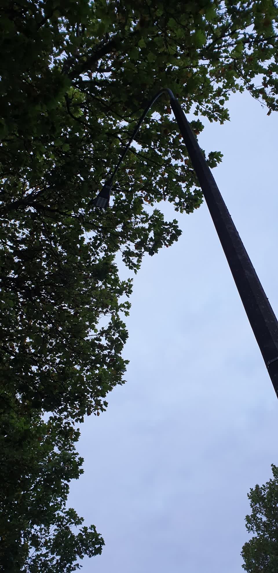 The photograph attached to this street light outage report