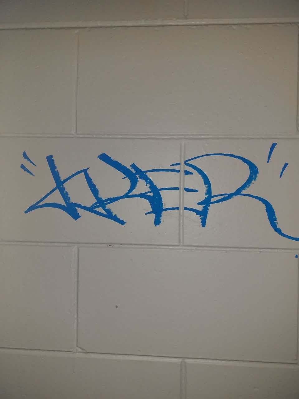 The photograph attached to this graffiti report
