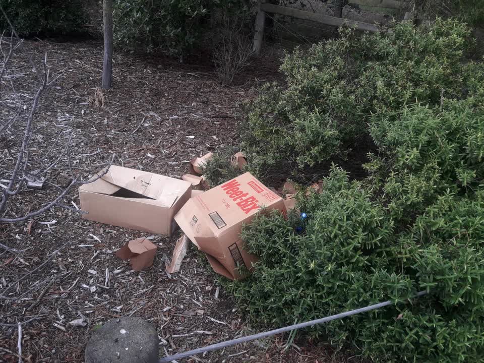 The photograph attached to this parks report