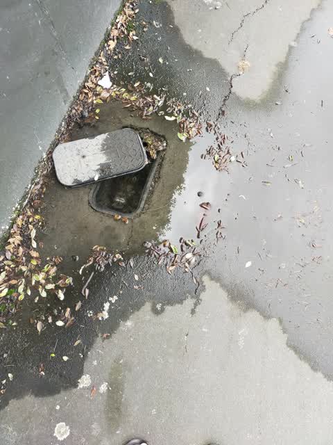Water Leak, a report photo